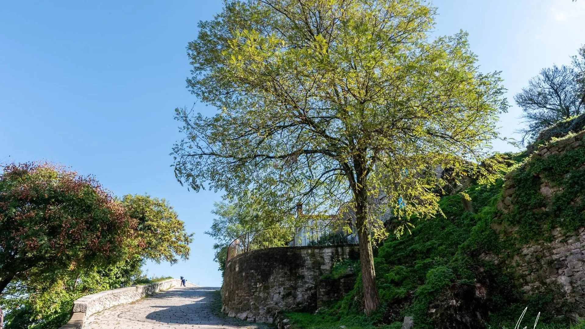 Sunset Holiday Home With Pool And Large, Mature Garden Labin  Labin (Istria)